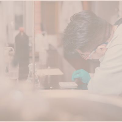 Fortalecimiento de los programas doctorales