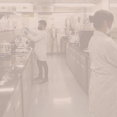 Formación de competencias de investigación en pregrado