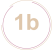 1b