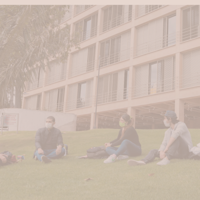 Implementación de la reforma curricular