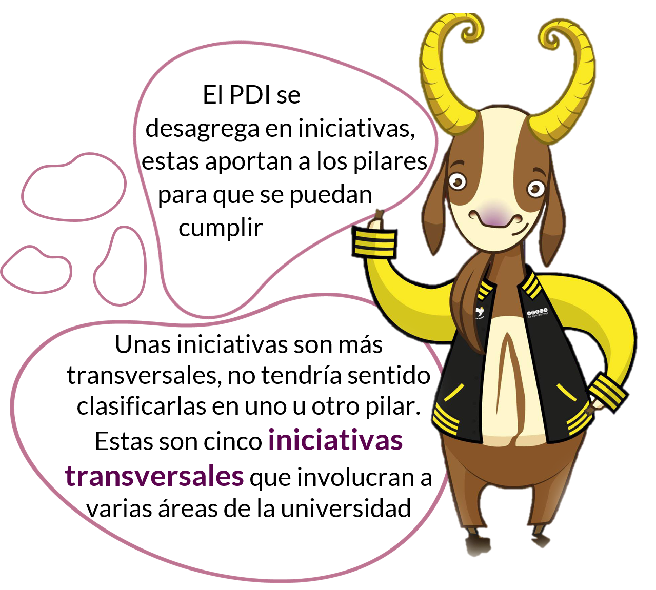 Explicación de las iniciativas